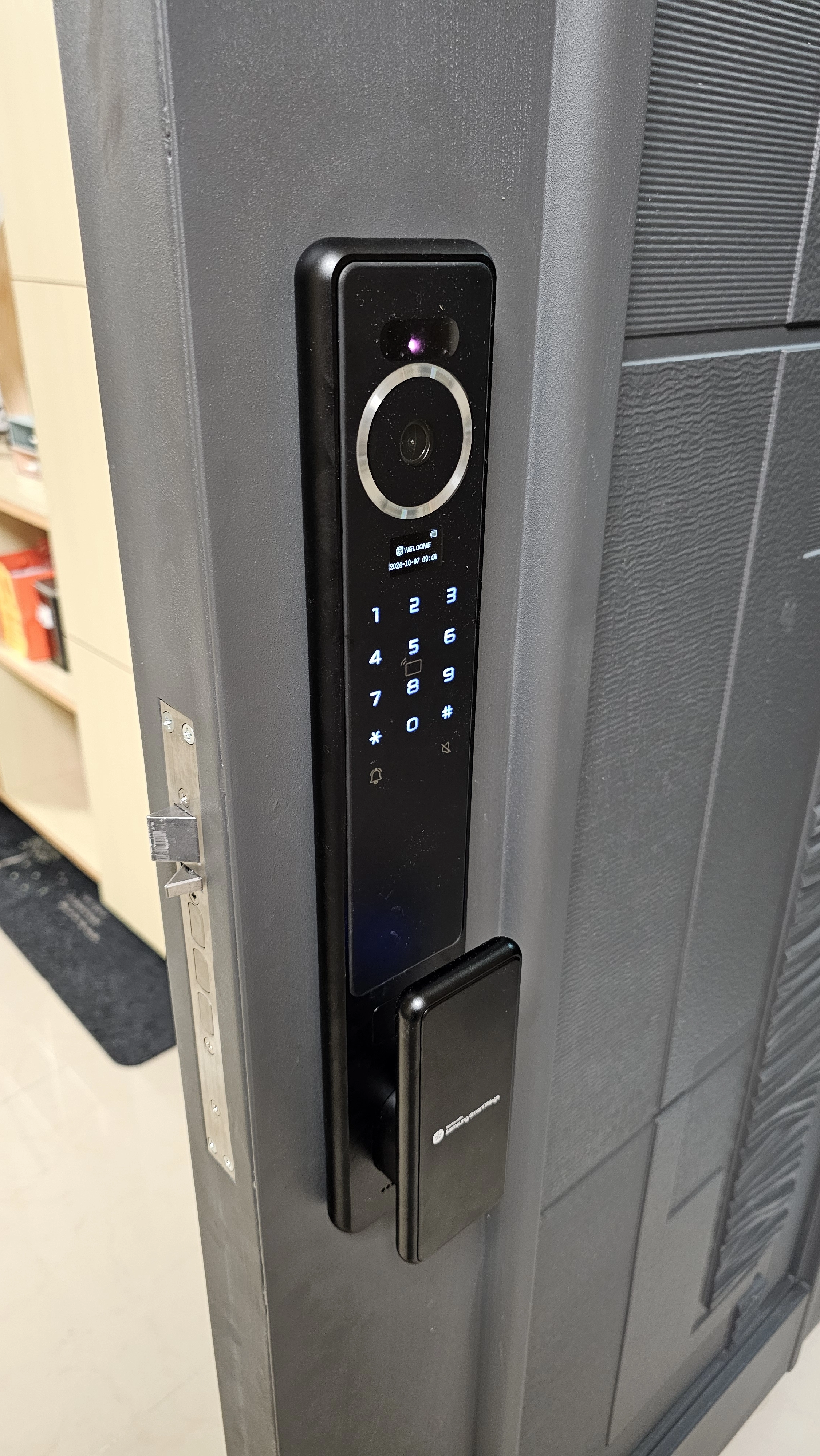住家灰色大門指紋推拉式電子鎖