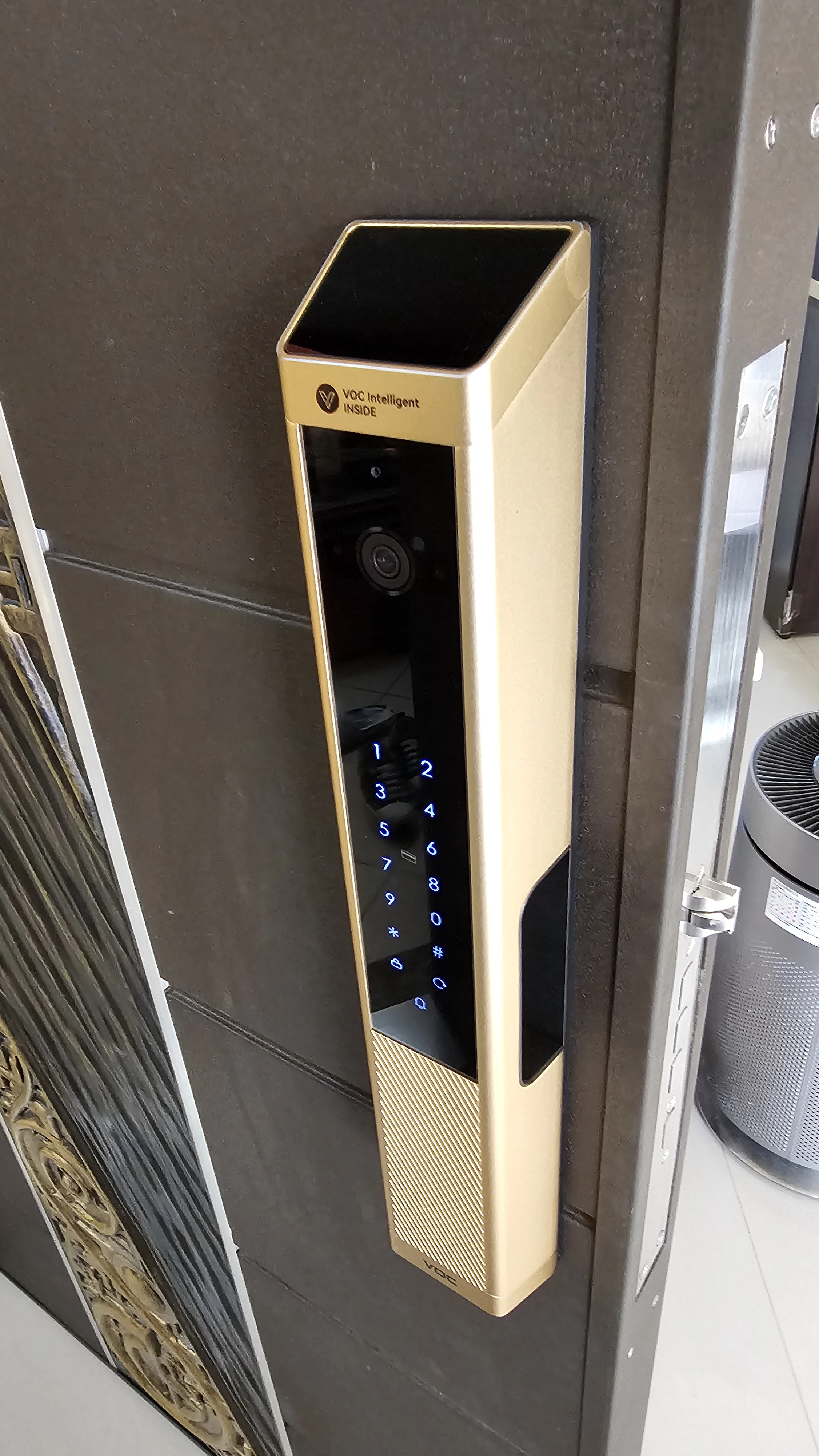 住家大門金色推拉式電子鎖外觀